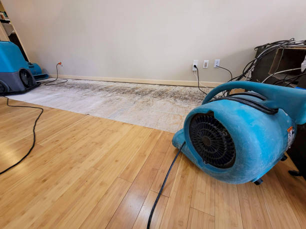 Professional Flood Damage Cleanup technician working in Gregory, TX